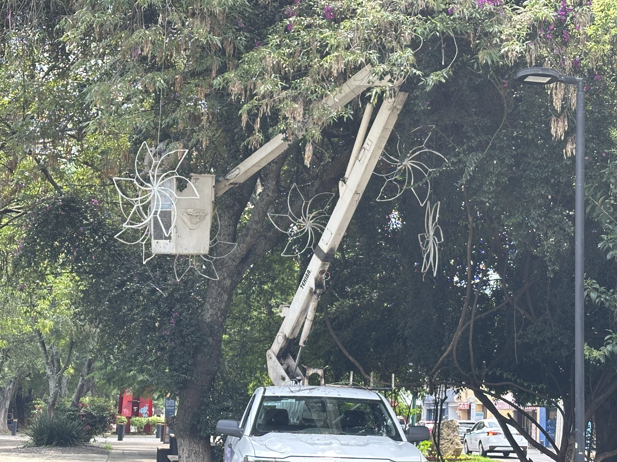 ⚠️ #Festividades ⚠️ Ya siente el ambiente de Septiembre en el Bulevar de Morelia