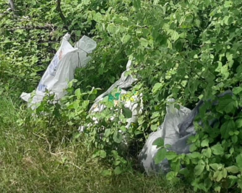 En Apatzingán, asegurados 55 kilogramos de material explosivo: SSP