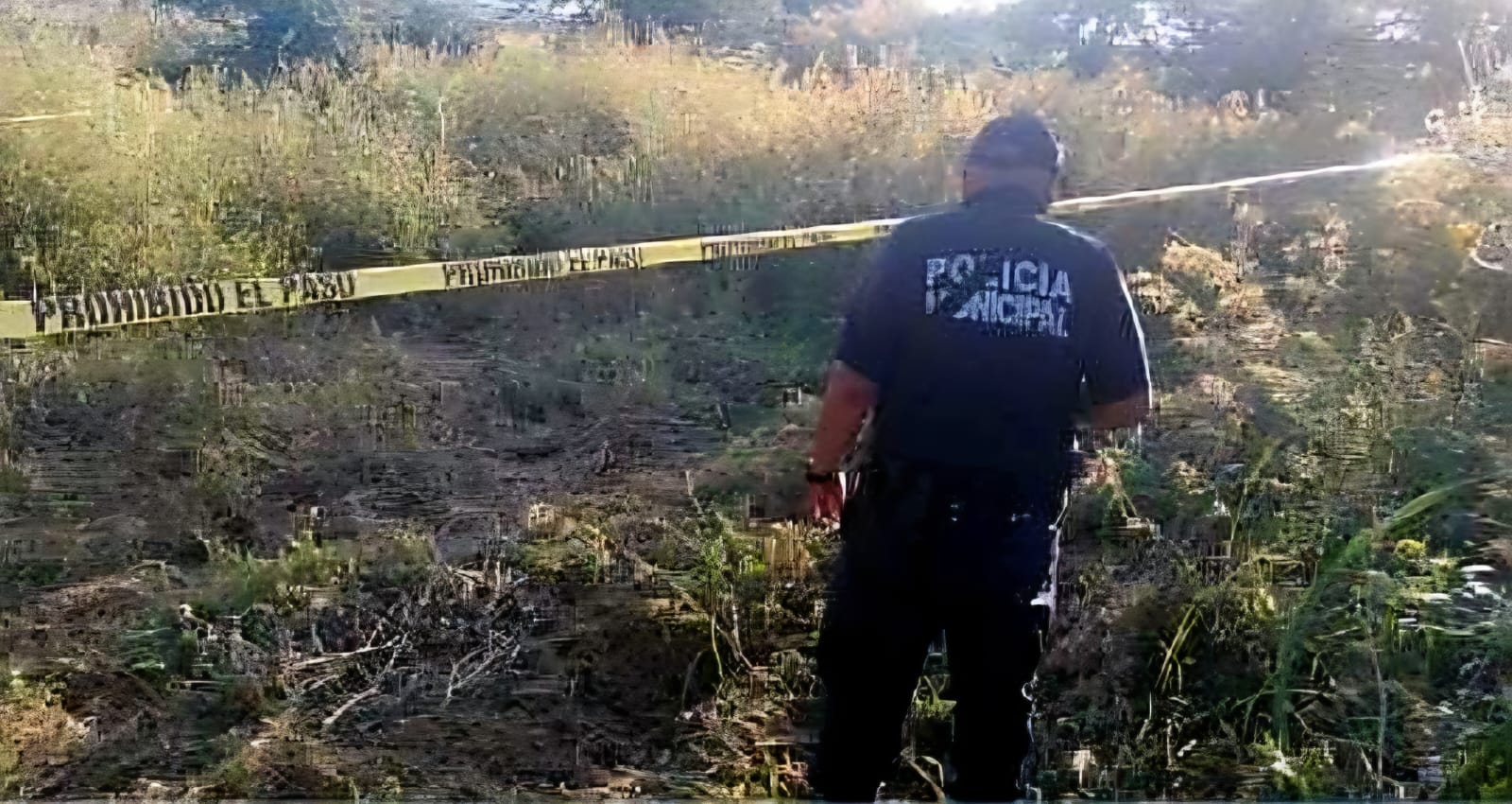 Octogenario es hallado muerto en unas parcelas de La Piedad