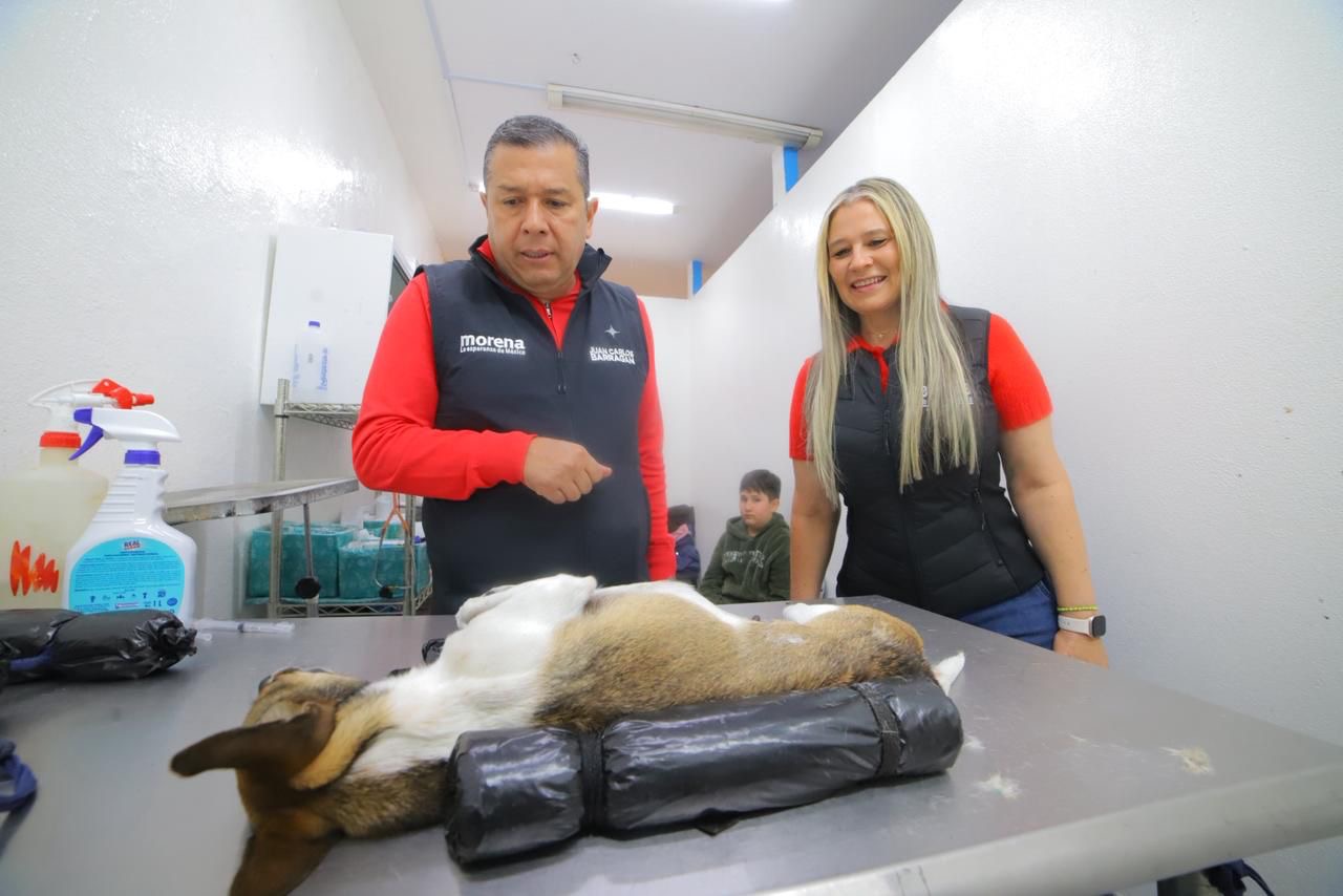 Barragán promueve esterilizaciones a bajo costo para impulsar la tenencia responsable de mascotas