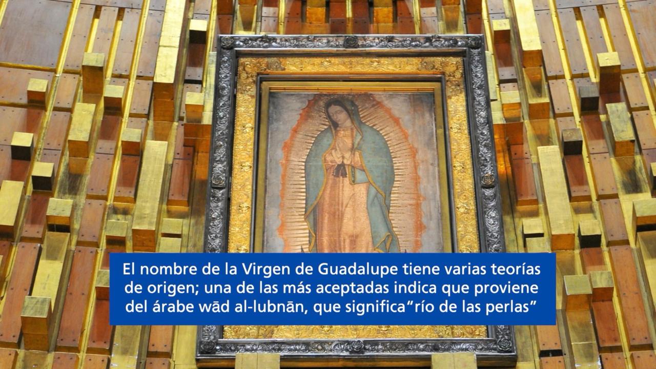 La Virgen de Guadalupe une la historia, la fe y las culturas, explica Teólogo