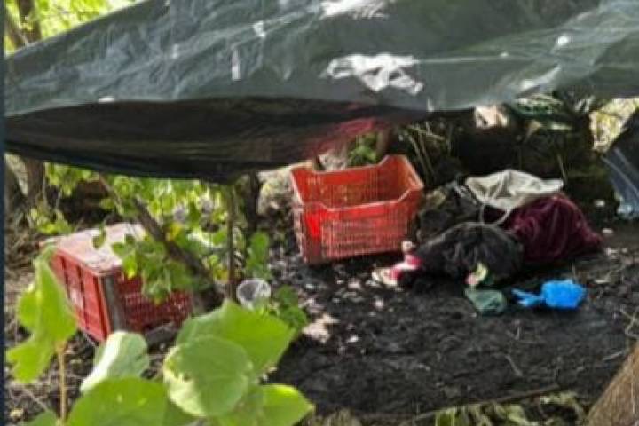 Desmantelan punto de “halconeo” en zona rural de Apatzingán