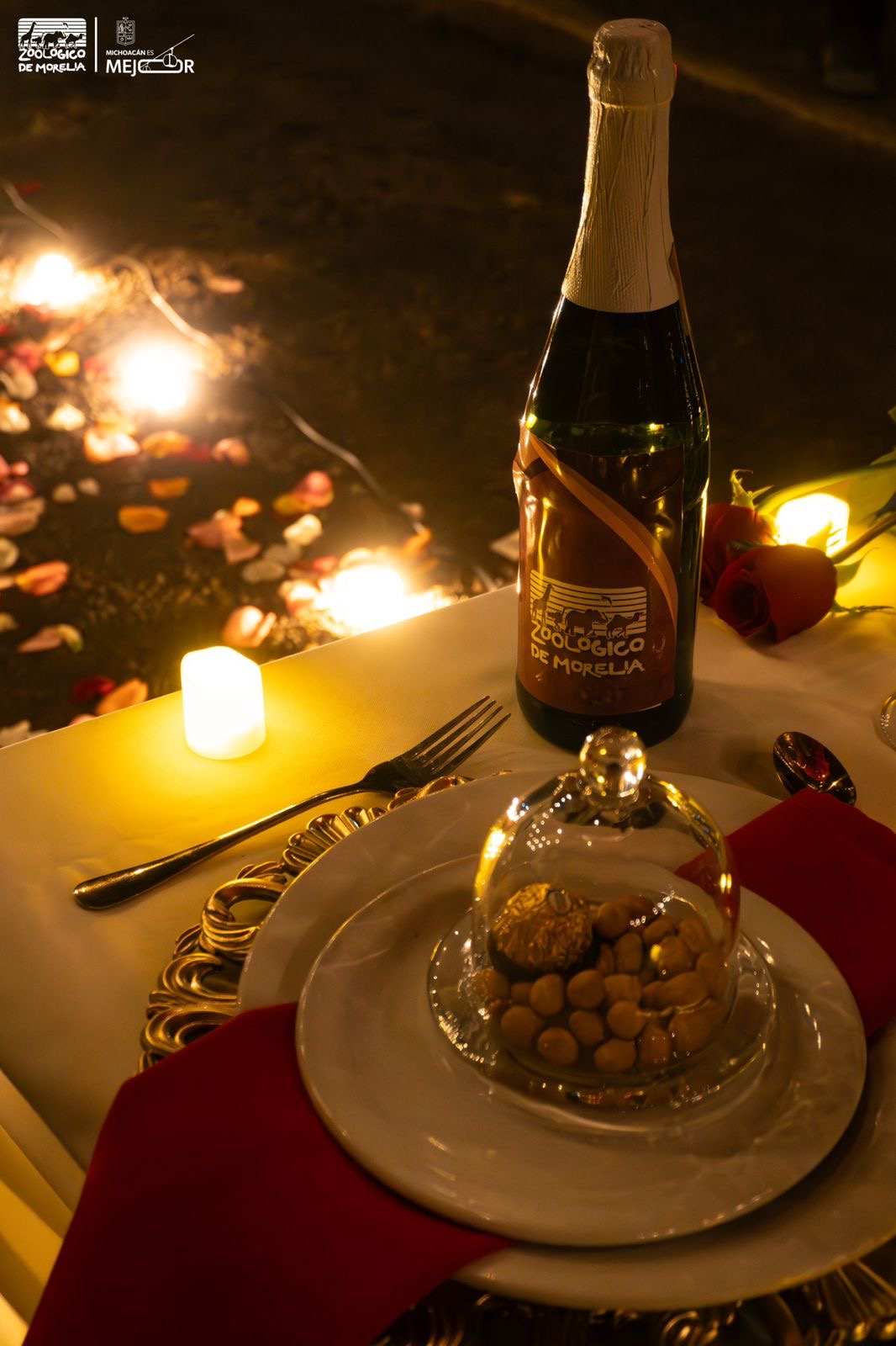 Entre naturaleza y romance, el Zoológico de Morelia te invita a una cena inolvidable