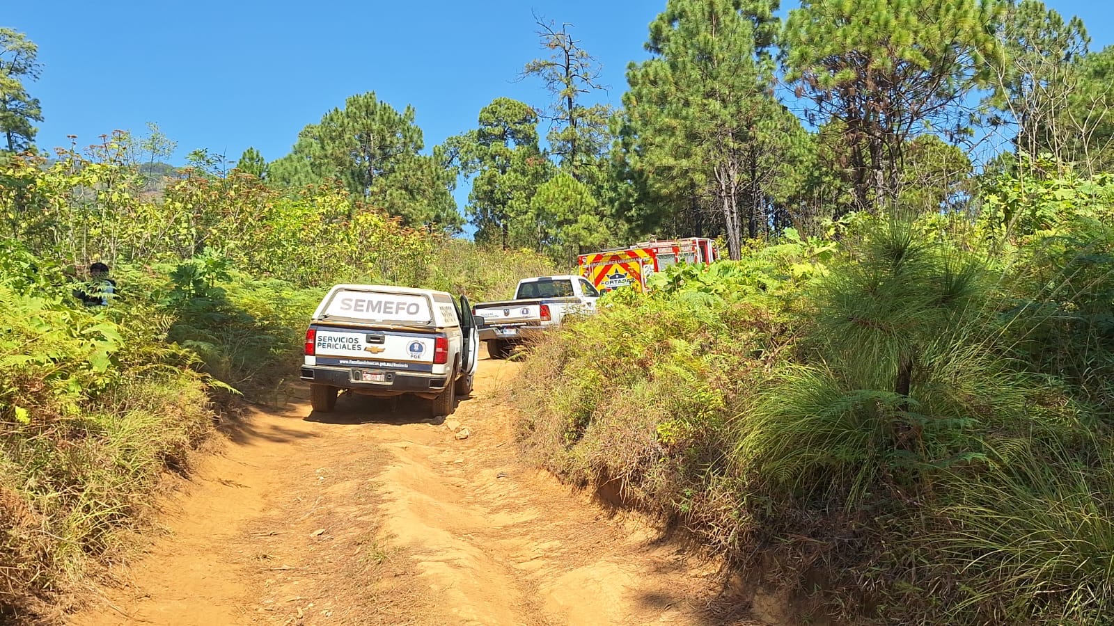 Localizan cadáver baleado en el Cerro de la Cruz, de Uruapan 