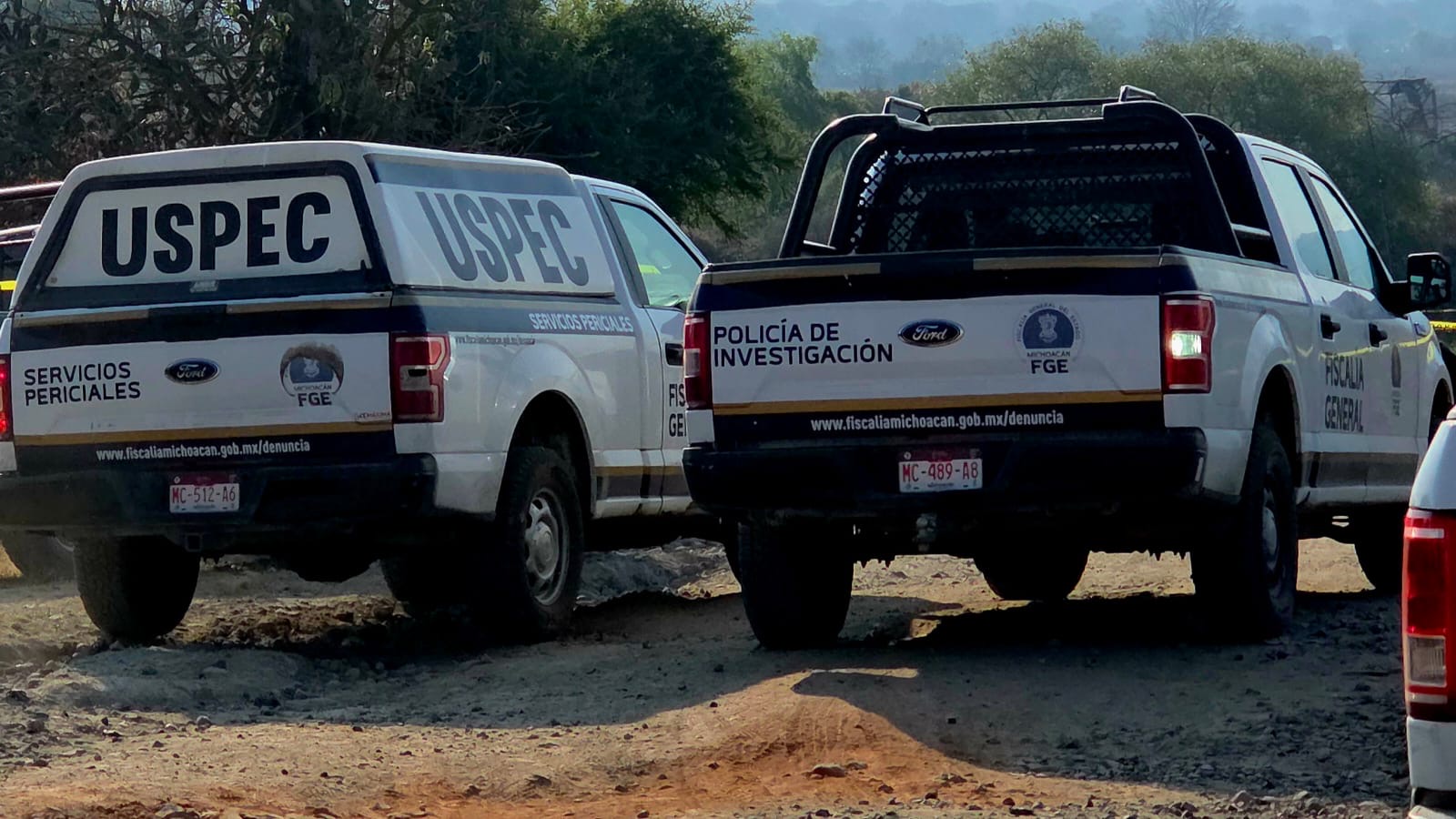 Jauría de perros habría matado a mujer hallada en un camino de terracería, al norte de Morelia