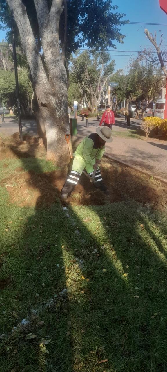 Gobierno de Morelia embellece espacios públicos con atención a sus áreas verdes