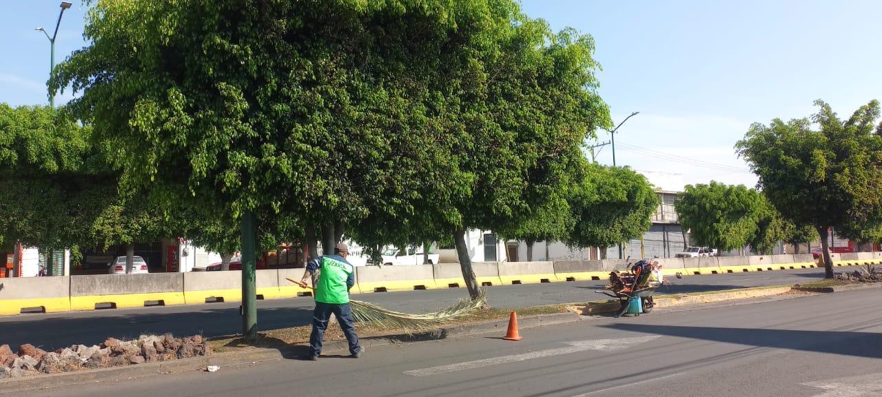 Gobierno de Morelia interviene y mejora áreas verdes